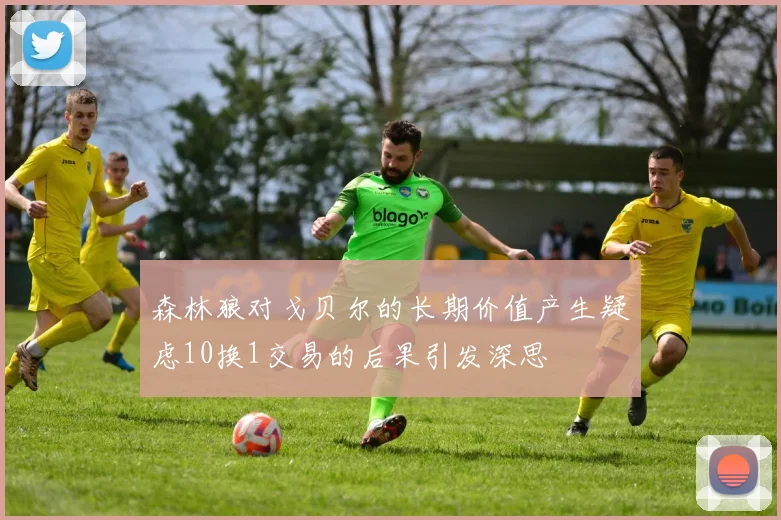 森林狼对戈贝尔的长期价值产生疑虑10换1交易的后果引发深思